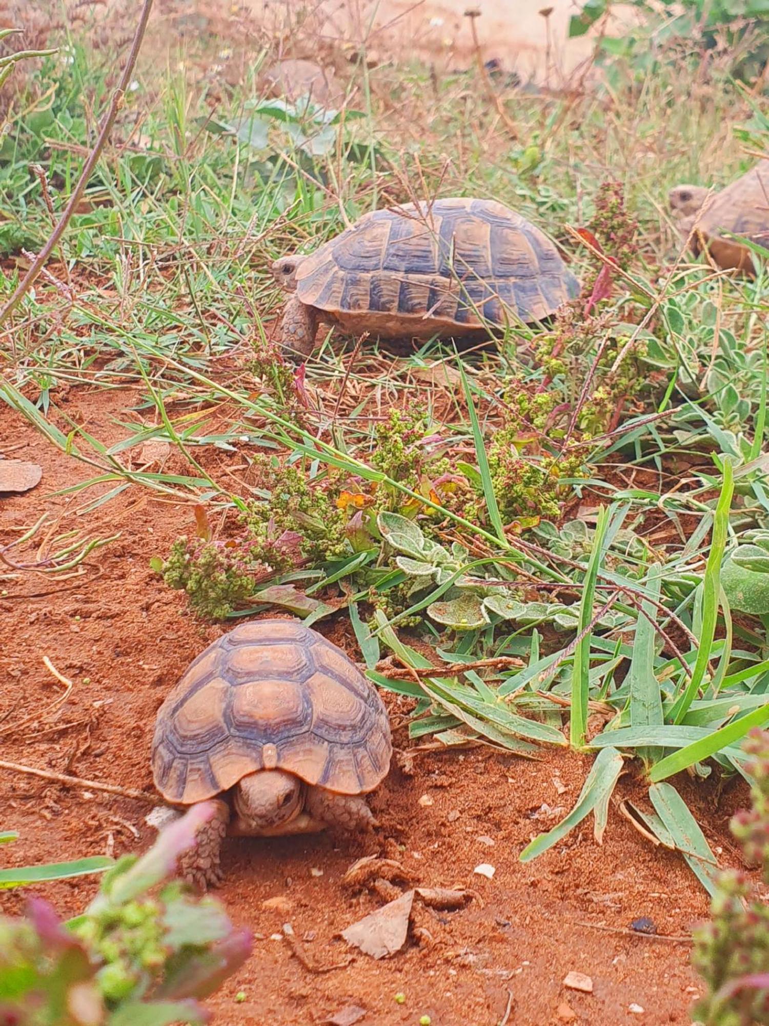 L'Experience Berbere Villa Agadir Eksteriør bilde